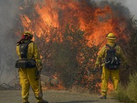 Số người thiệt mạng do cháy rừng tại California, Mỹ tăng lên 40