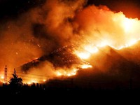 Chile: Cháy rừng lớn nhất trong 50 năm