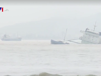 Tìm thấy thêm 5 thi thể vụ chìm tàu tại Bình Định