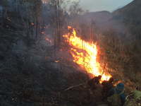 Hà Nội triển khai nhiều biện pháp phòng chống cháy rừng