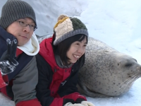 Chụp ảnh cùng hải cẩu ở thủy cung Hokkaido, Nhật Bản