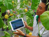 Tăng cường ứng dụng công nghệ cao vào sản xuất nông nghiệp