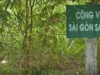 Nguyên nhân chậm đầu tư dự án công viên Sài Gòn Safari