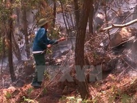 Cảnh báo cháy rừng ở Bắc Bộ và Trung Bộ