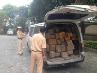 Lâm Đồng: Phát hiện và bắt giữ hai xe chở gỗ lậu trong đêm