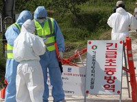 Dịch cúm gia cầm diễn biến phức tạp tại Hàn Quốc