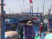 Điều chỉnh thói quen đánh bắt trước 'thẻ vàng' của EC với thủy sản Việt