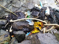 Quảng Nam: Dầu vón cục, rác tiếp tục dạt vào bãi biển