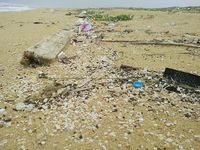 Dầu vón cục dạt vào bờ biển Quảng Nam