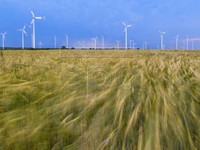 Điện gió - Nguồn năng lượng quan trọng thứ 2 tại châu Âu