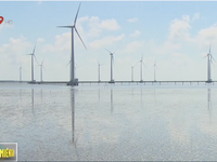 Bộ Công Thương đề nghị tăng giá mua điện gió