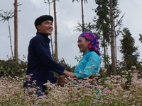Phim Lặng yên dưới vực sâu: Câu chuyện tình yêu mãnh liệt trên miền núi cao Hà Giang