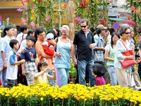 Du lịch Việt Nam tăng trưởng trong 5 tháng đầu năm
