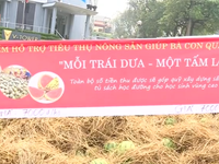 Hà Nội hỗ trợ tiêu thụ dưa hấu cho người dân Quảng Ngãi