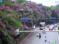 Cấm ô tô, thu hẹp đường Kim Mã còn 3m để làm Metro Hà Nội