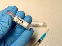 Mỹ: Thử nghiệm lâm sàng vaccine Zika giai đoạn 2 trên người