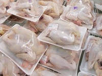 Kiến nghị điều tra vụ 5 doanh nghiệp nhập gà giá 2.000 đồng/kg