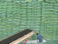 Xuất khẩu gạo đón nhiều dấu hiệu khởi sắc