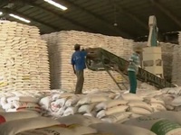 Gia hạn thỏa thuận xuất khẩu gạo sang Philippines
