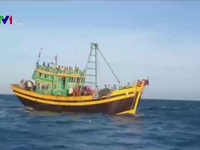 Truy bắt các đối tượng đánh bắt hải sản trái phép trên biển