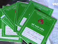 Hà Nam: Cả làng vỡ nợ vì giá lợn thấp kỷ lục