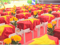 Sự hỗ trợ đặc biệt trong việc tìm kiếm mộ tập thể ở sân bay Biên Hòa