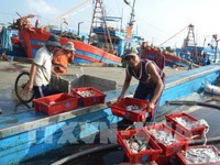 Việt Nam cam kết chống khai thác hải sản bất hợp pháp