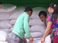 Xuất cấp 1.700 tấn gạo cho Quảng Bình, Sóc Trăng dịp Tết