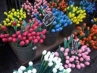 Chiêm ngưỡng chợ hoa rực rỡ màu sắc ở Amsterdam