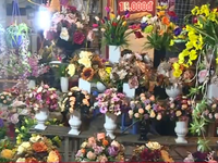 Khai mạc chợ hoa xuân truyền thống năm 2017
