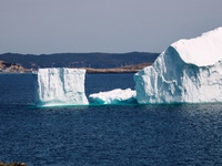 UAE dự tính kéo băng từ Nam Cực về để biến thành nước ngọt