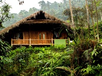 Cuộc sống ở bản làng Việt Nam qua góc nhìn của du khách “homestay”