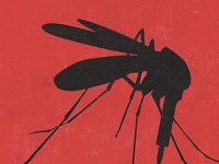 INFOGRAPHIC: Những điều cần lưu ý về dịch sốt xuất huyết tại Việt Nam