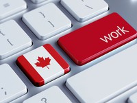 Canada hút lao động tay nghề cao khi Mỹ giới hạn nhập cư