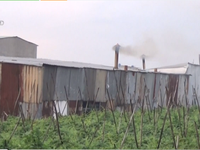 Di dời cơ sở sản xuất hủ tiếu gây ô nhiễm khói tại TP.HCM