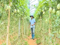 Thanh niên lập nghiệp bằng nông sản độc đáo