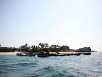 Thành lập khu bảo tồn biển Lý Sơn