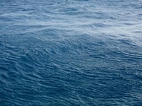 Bình Thuận: Khẩn trương tìm kiếm thuyền viên mất tích trên biển