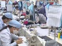 Việt Nam tăng cường kết nối thương mại với Argentina