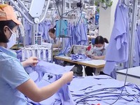 Kim ngạch xuất khẩu dệt may Việt Nam đạt kỳ tích