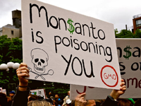 Hàng nghìn nông dân Mỹ kiện Monsanto vì thuốc diệt cỏ gây hại
