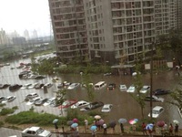 Trung Quốc hứng chịu mưa bão lớn