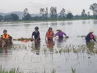 Ngân hàng hỗ trợ người dân bị thiệt hại do lũ lụt