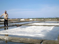 Quảng Ngãi đầu tư sản xuất muối sạch ở Sa Huỳnh
