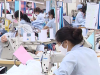 Vì sao năng suất lao động của Việt Nam thấp?