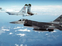 Máy bay NATO áp sát máy bay Bộ trưởng Bộ Quốc phòng Nga