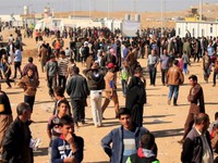 Gần 1.000 người bị ngộ độc thực phẩm tại khu trại tị nạn ở Iraq