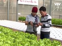 Đà Lạt: Trang trại trồng rau an toàn đón khách du lịch