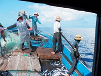 Hội nghề cá phản đối lệnh cấm đánh cá trên Biển Đông của Trung Quốc
