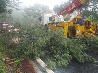 Ảnh hưởng của bão số 12: Các địa phương nỗ lực khắc phục thiệt hại do bão gây ra